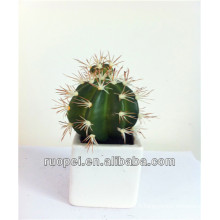 Plante de cactus artificielle en pot pour la décoration d&#39;intérieur